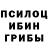 Псилоцибиновые грибы мицелий Martik Gabrielyan