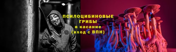 соль ск Абдулино