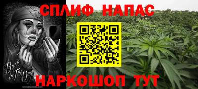 гидра Дубна