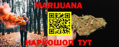 гидра Дубна