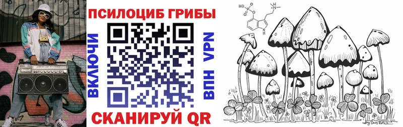 blacksprut рабочий сайт  Магадан  Галлюциногенные грибы Psilocybine cubensis 