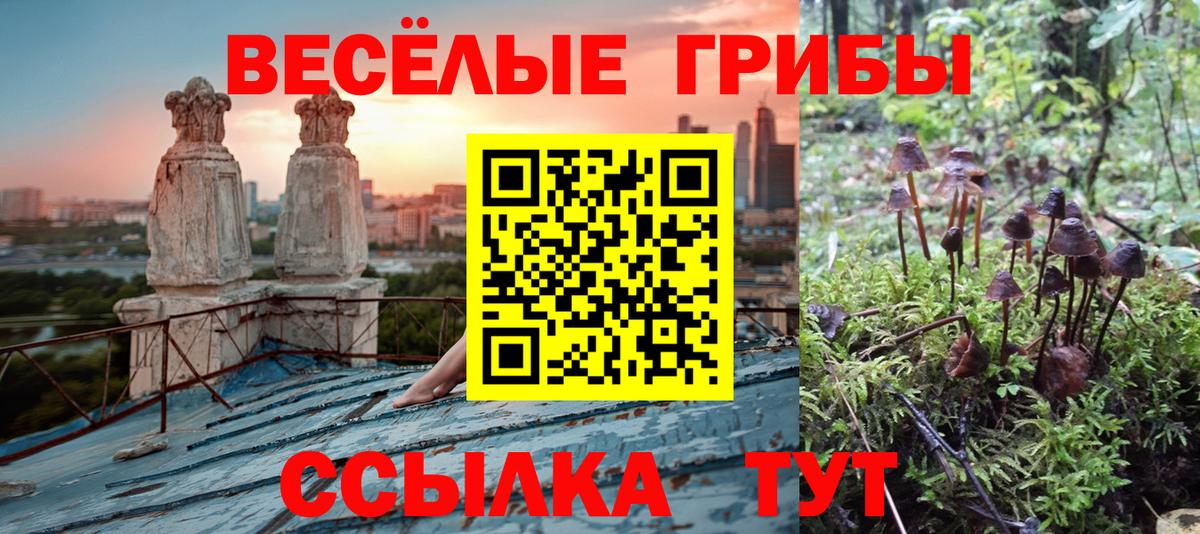 Псилоцибиновые грибы Magic Shrooms Магадан