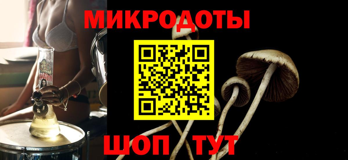 продажа наркотиков  Вход с VPN  Магадан  Псилоцибиновые грибы Magic Shrooms 
